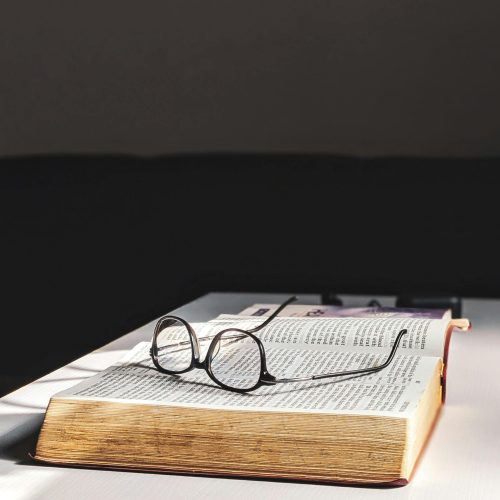 pexels-diimejii-2908773