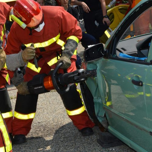 pexels-ulrick-t-17273706